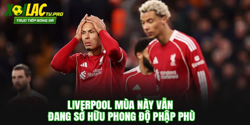 Liverpool mùa này vẫn đang sở hữu phong độ phập phù