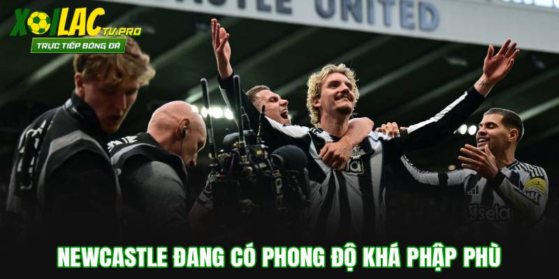 Newcastle đang có phong độ khá phập phù